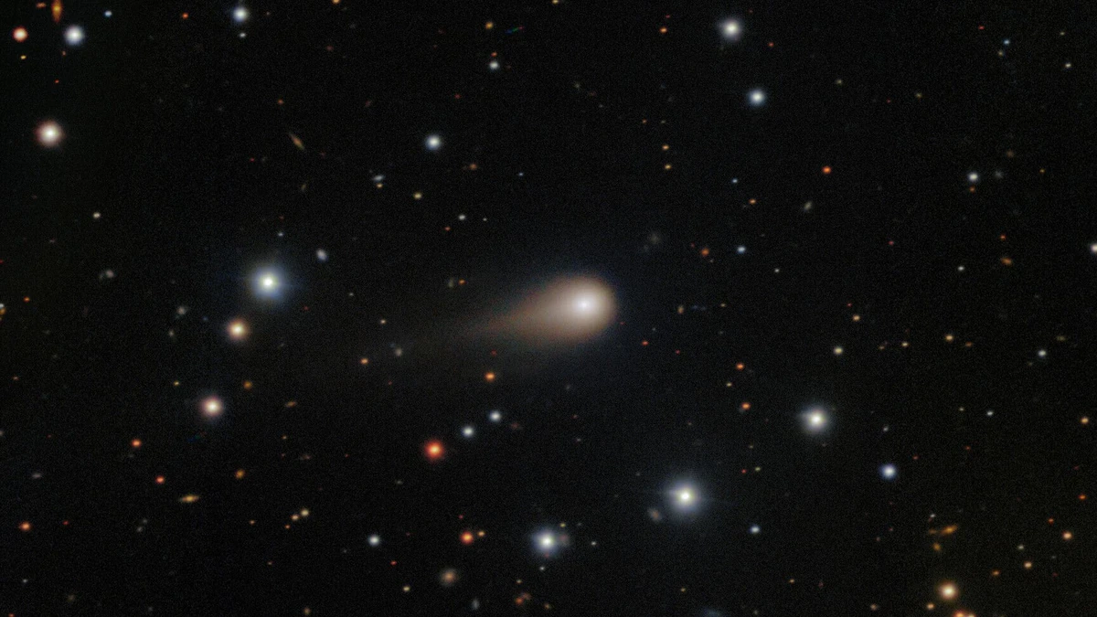 Hobby-Astronomie: Ein Schweifstern leuchtet am Abendhimmel